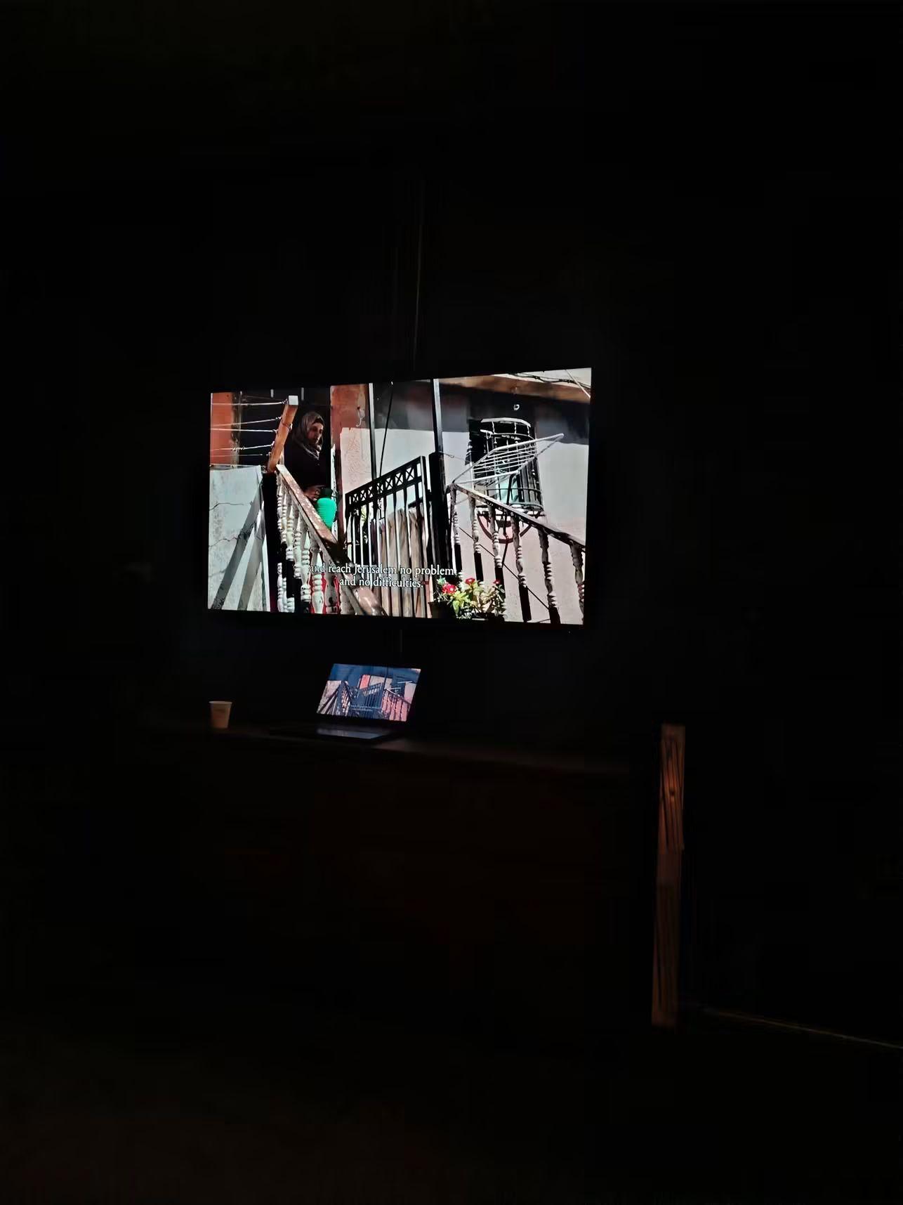 A film screening in a darkened room, with a documentary scene on the television